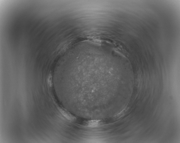 X0000064740090200602241814