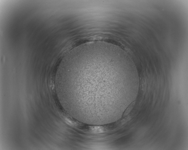 X0000064740091200602241814