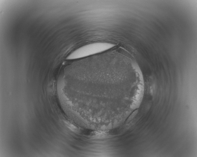 X0000064740093200602241814