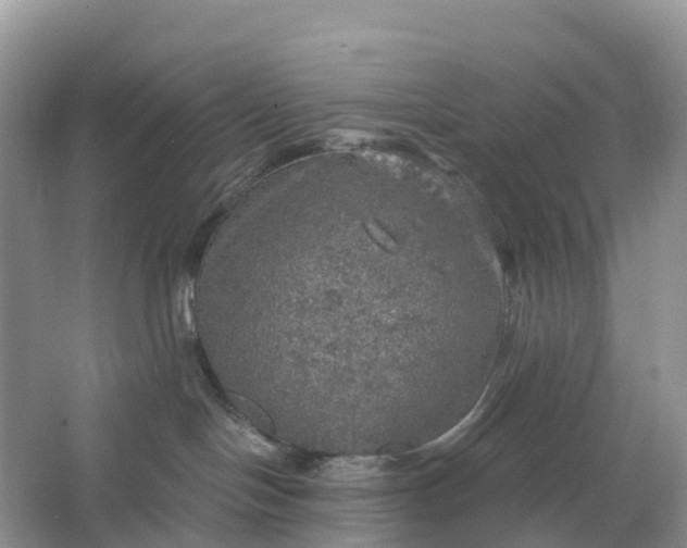 X0000064740094200602241814