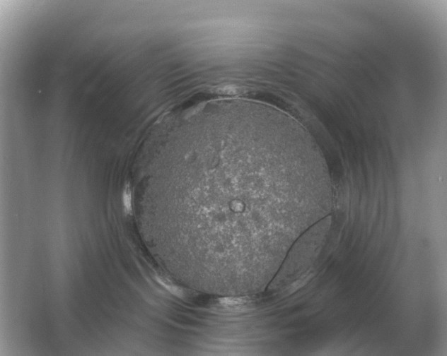 X0000064740095200602241814