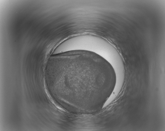 X0000064740097200602241813