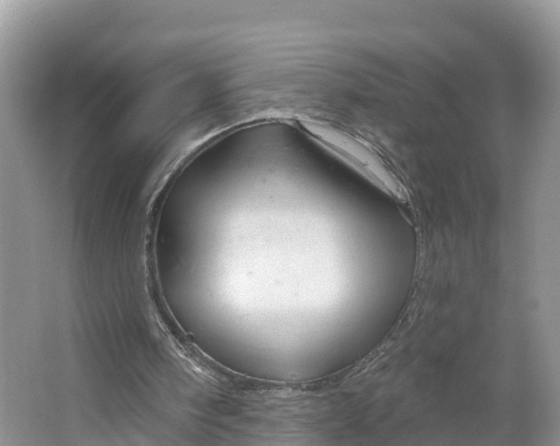 X0000064740098200602241813