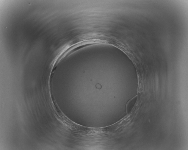 X0000064740099200602241813