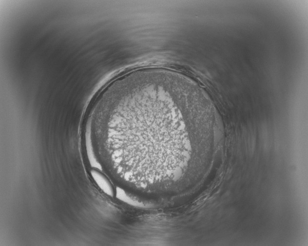 X0000064740100200602241813