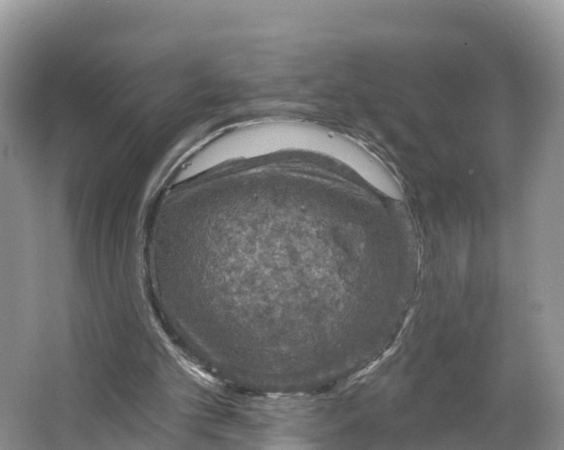 X0000064740101200602241813