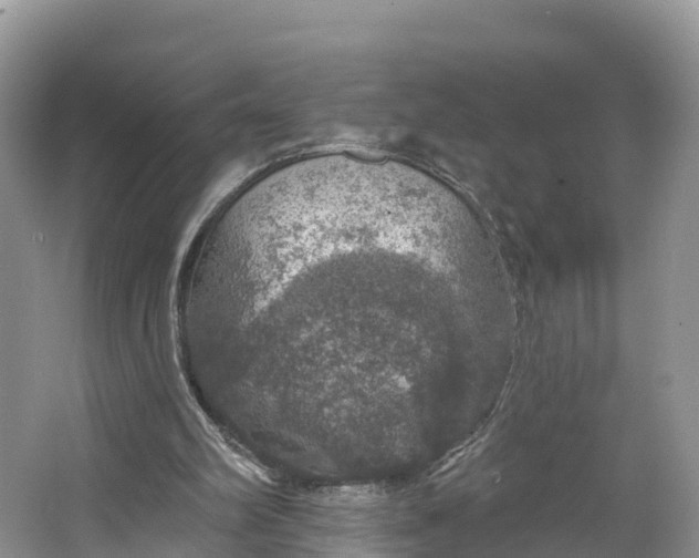 X0000064740102200602241813