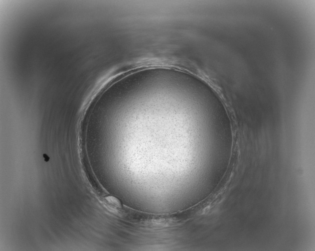 X0000064740103200602241813