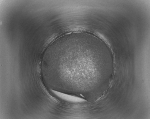 X0000064740105200602241812