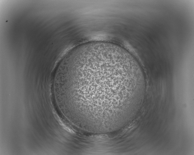 X0000064740106200602241812