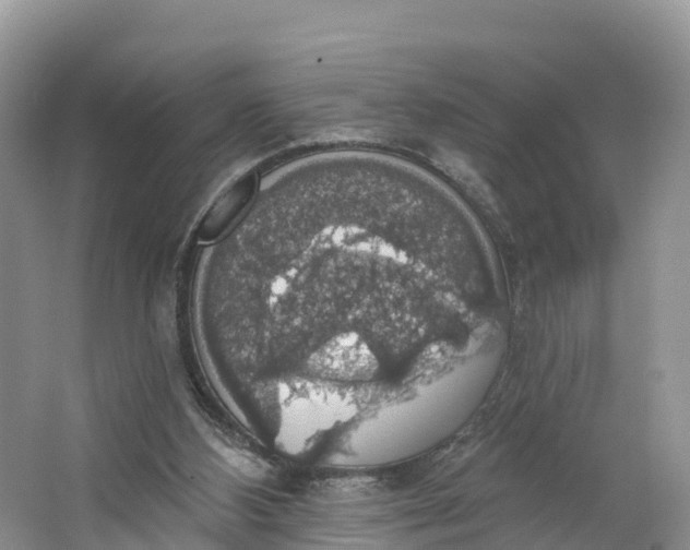 X0000064740108200602241812