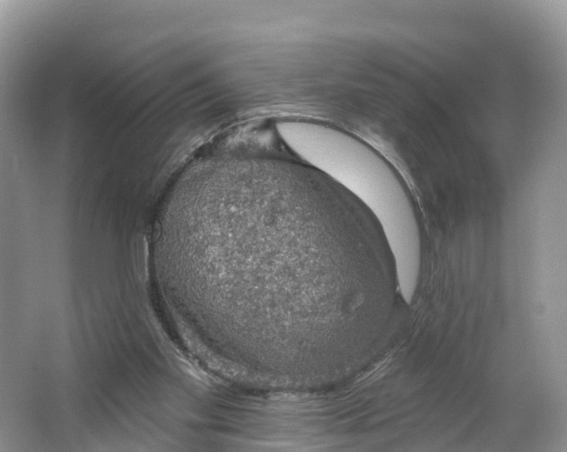 X0000064740109200602241812