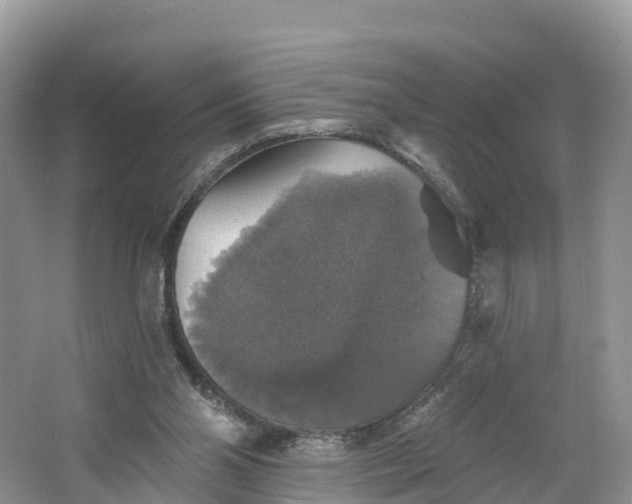 X0000064740110200602241812