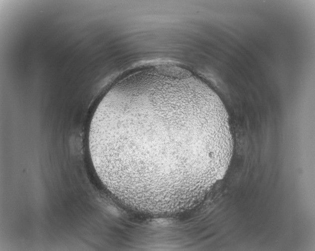 X0000064740111200602241812