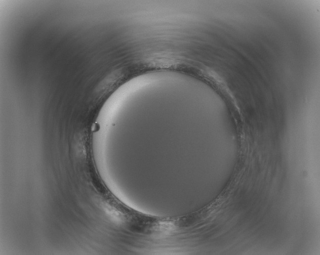 X0000064740114200602241812