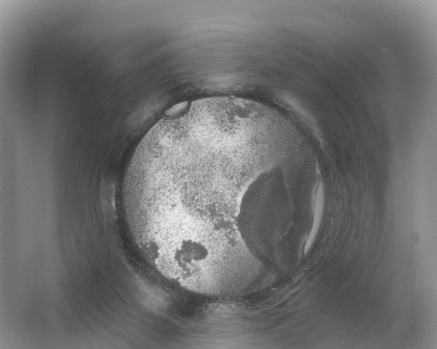 X0000064740115200602241812