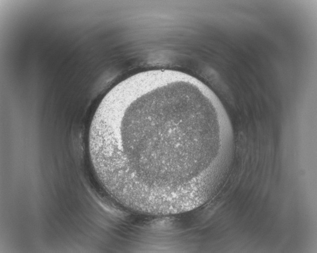 X0000064740116200602241812