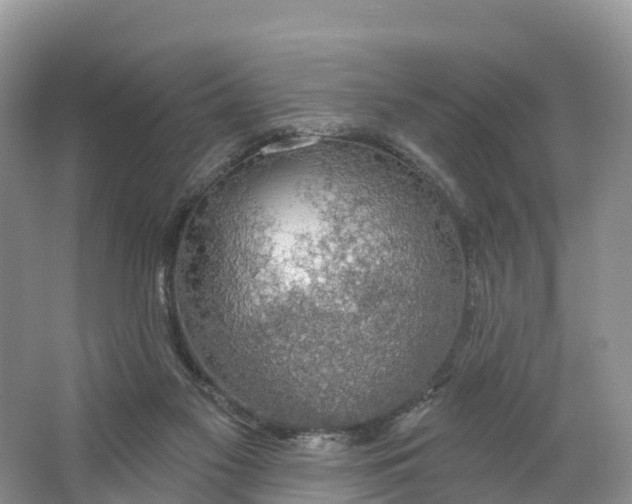 X0000064740117200602241812