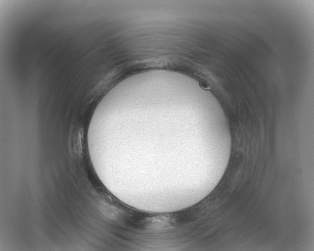 X0000064740118200602241812