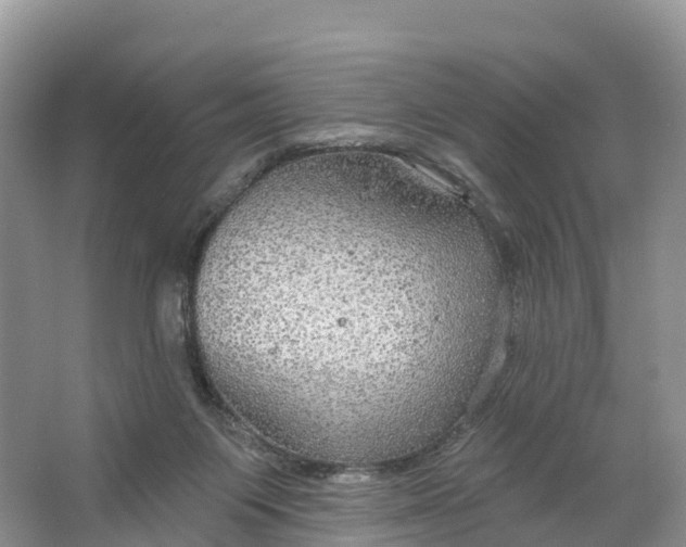 X0000064740119200602241812