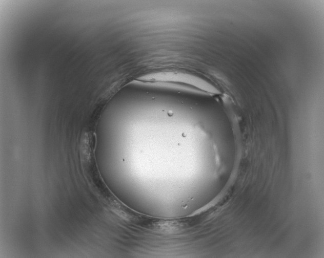 X0000064740121200602241812