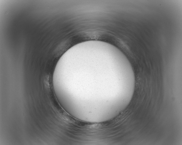 X0000064740122200602241812