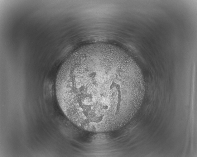 X0000064740123200602241812