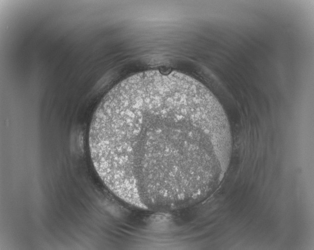 X0000064740124200602241812