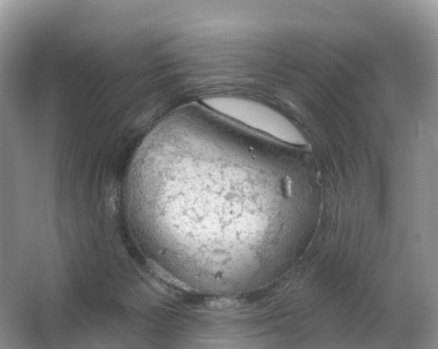 X0000064740125200602241812