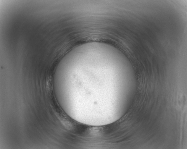 X0000064740126200602241812