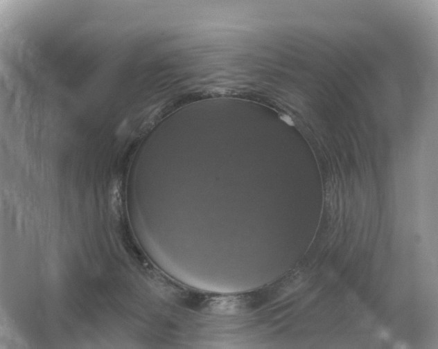 X0000064740127200602241812