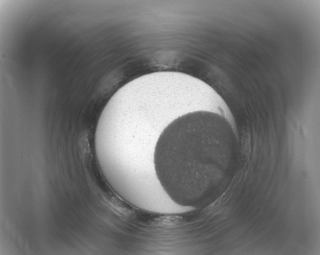 X0000064740128200602241812