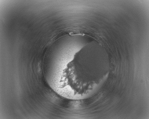 X0000064740131200602241812