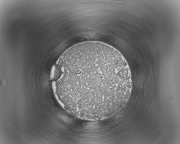 X0000064740132200602241812