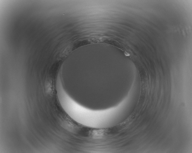 X0000064740134200602241812