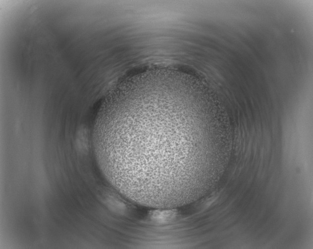 X0000064740135200602241812