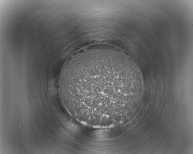 X0000064740136200602241812