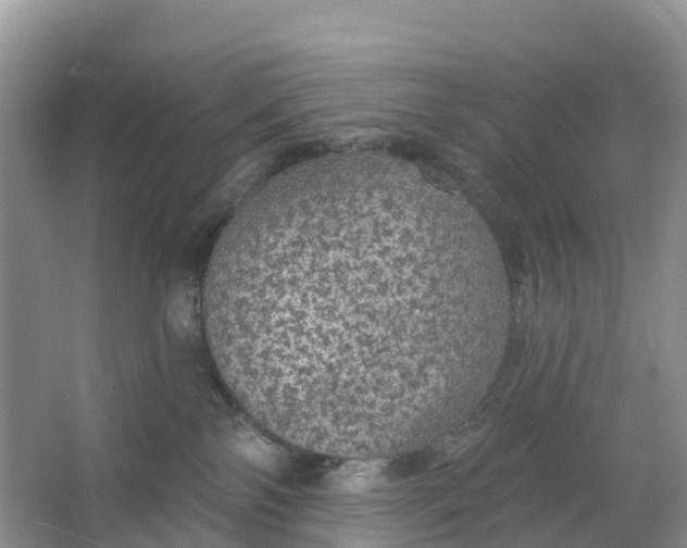 X0000064740138200602241812