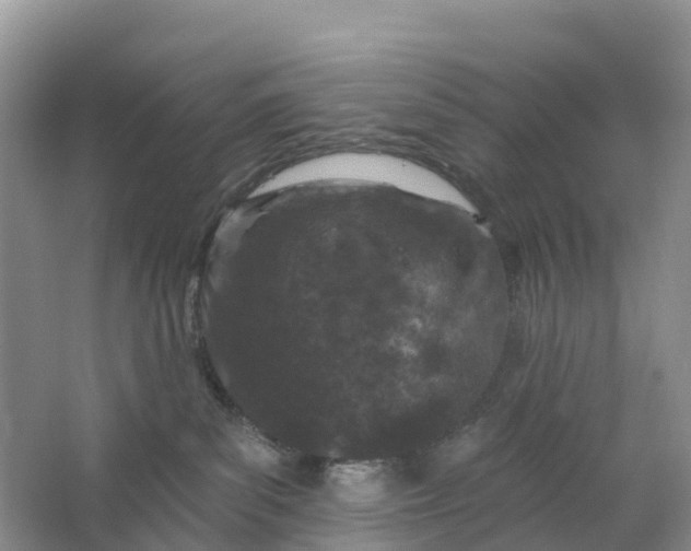 X0000064740139200602241812