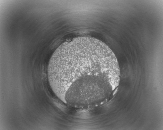 X0000064740140200602241812