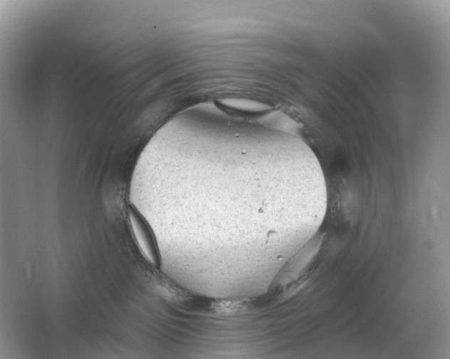 X0000064740141200602241812