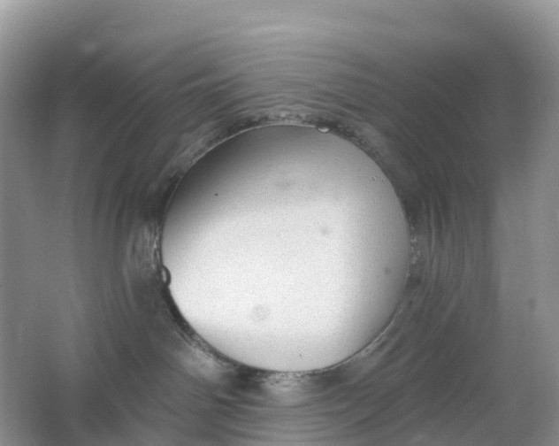 X0000064740142200602241812