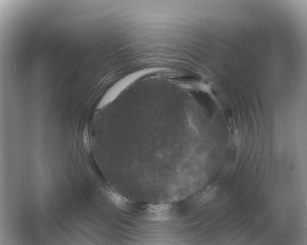 X0000064740143200602241812