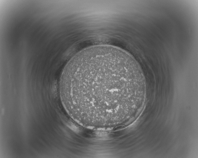 X0000064740144200602241811