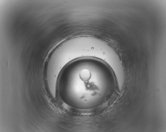 X0000064740146200602241810