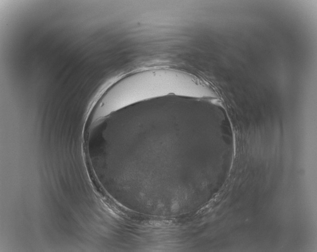 X0000064740147200602241810