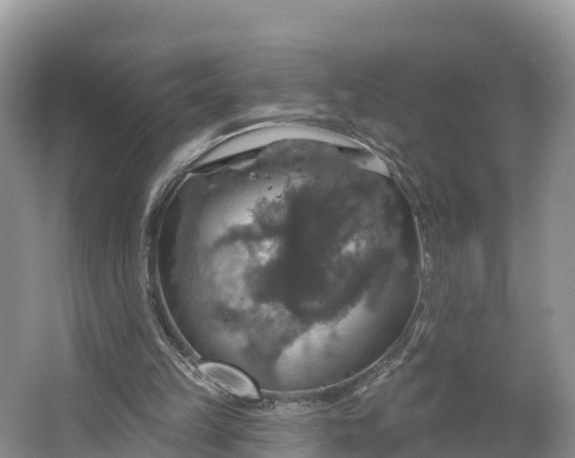 X0000064740149200602241810