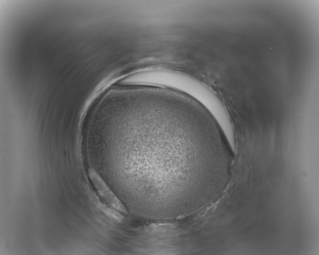 X0000064740150200602241810