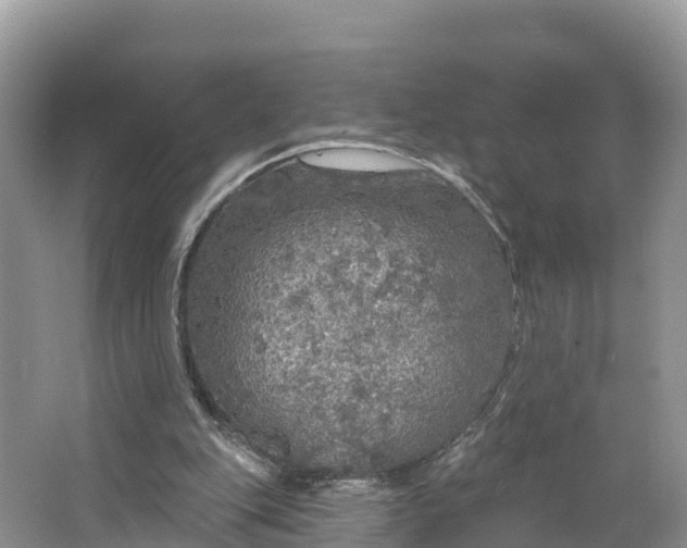 X0000064740151200602241810