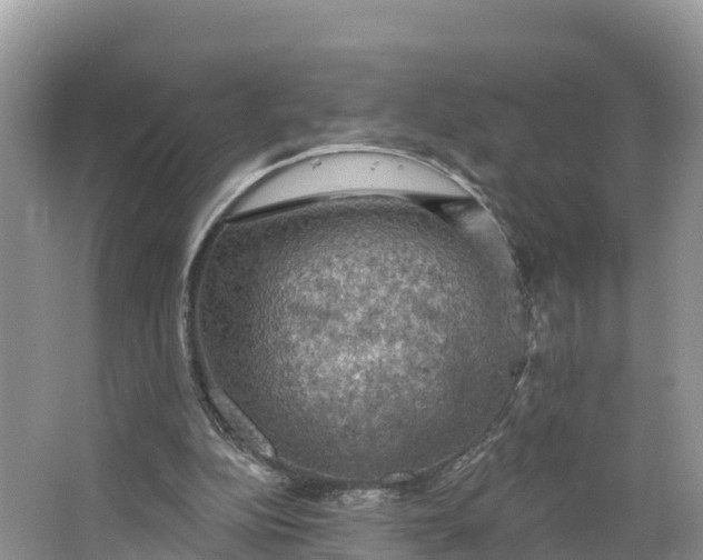 X0000064740152200602241810